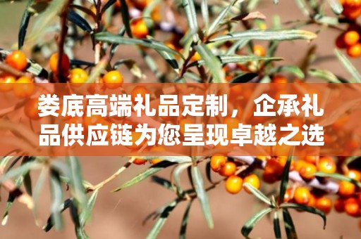 娄底高端礼品定制，企承礼品供应链为您呈现卓越之选